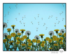 Load image into Gallery viewer, Prints | 8x10