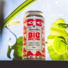 Load image into Gallery viewer, Big Brother
